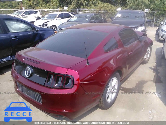 2014 Ford Mustang 1ZVBP8AM9E5314046 image 3