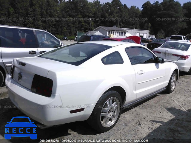 2005 Ford Mustang 1ZVFT80N055202047 image 3