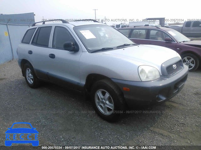 2003 Hyundai Santa Fe KM8SB73D13U430865 image 0