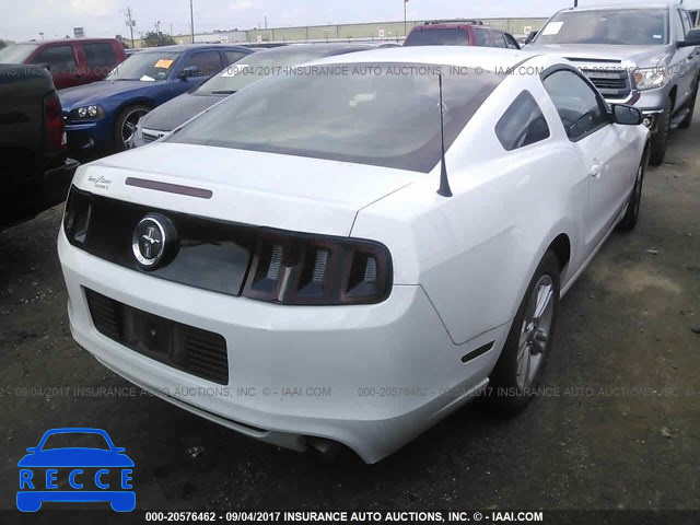 2014 Ford Mustang 1ZVBP8AM3E5250103 image 3