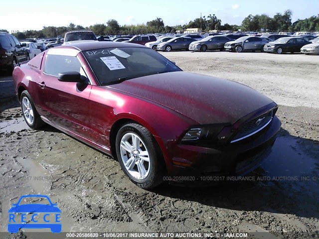 2014 Ford Mustang 1ZVBP8AM5E5245162 image 0