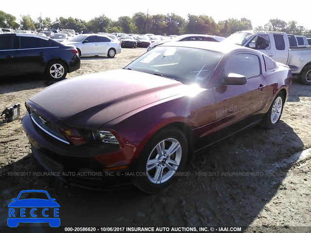 2014 Ford Mustang 1ZVBP8AM5E5245162 image 1