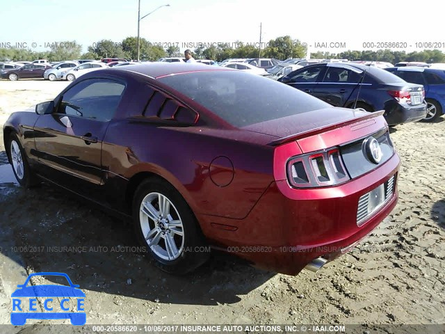 2014 Ford Mustang 1ZVBP8AM5E5245162 image 2