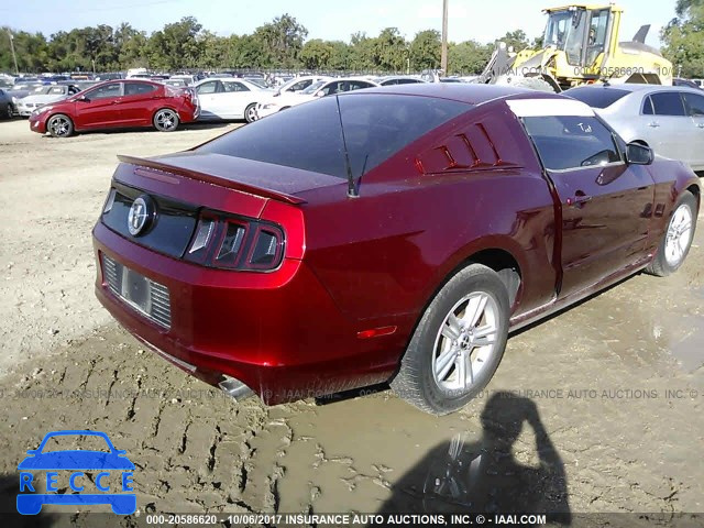 2014 Ford Mustang 1ZVBP8AM5E5245162 image 3