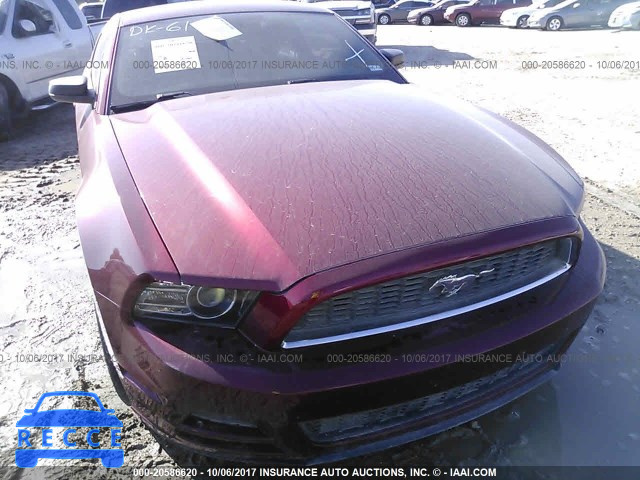 2014 Ford Mustang 1ZVBP8AM5E5245162 image 5