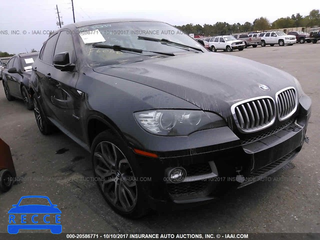 2013 BMW X6 XDRIVE50I 5UXFG8C58DL591905 image 0