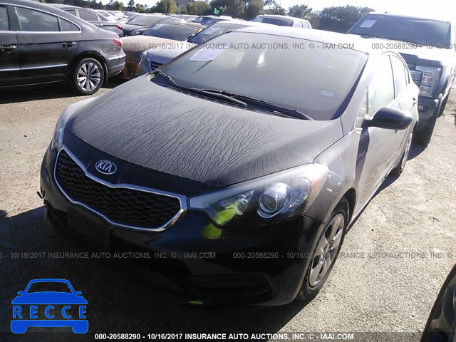 2016 KIA Forte KNAFK4A69G5591308 image 1