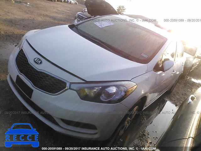 2016 KIA Forte KNAFK4A61G5606464 Bild 1