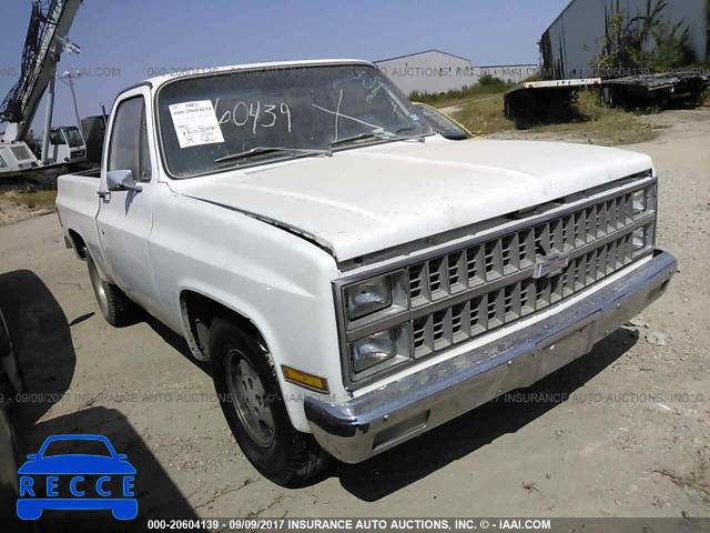 1981 Chevrolet C10 1GCDC14H0BS130589 Bild 0