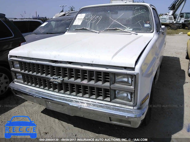 1981 Chevrolet C10 1GCDC14H0BS130589 Bild 5