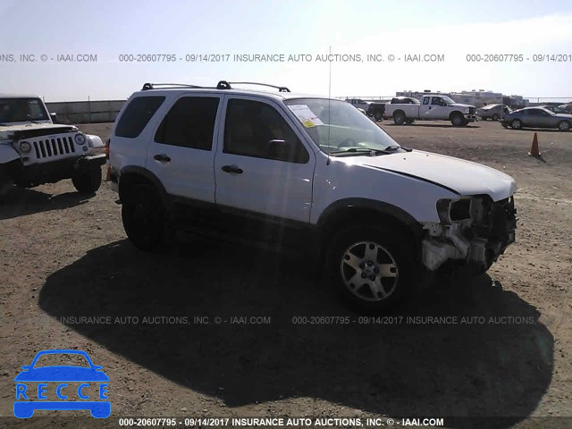 2005 Ford Escape XLT 1FMYU03125KA12850 image 0