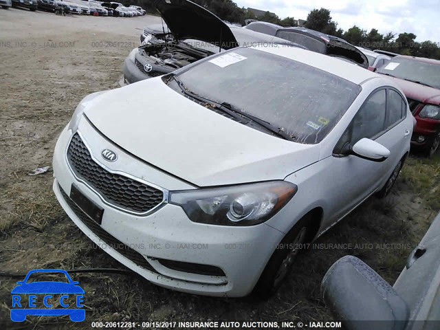 2016 KIA Forte KNAFK4A66G5593419 image 1