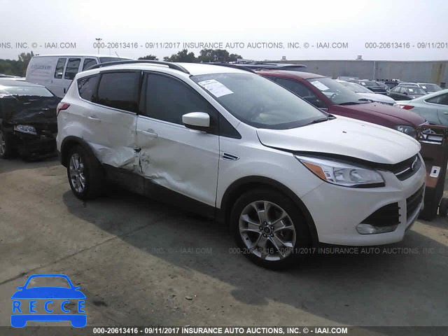 2014 Ford Escape 1FMCU0G95EUB27022 зображення 0