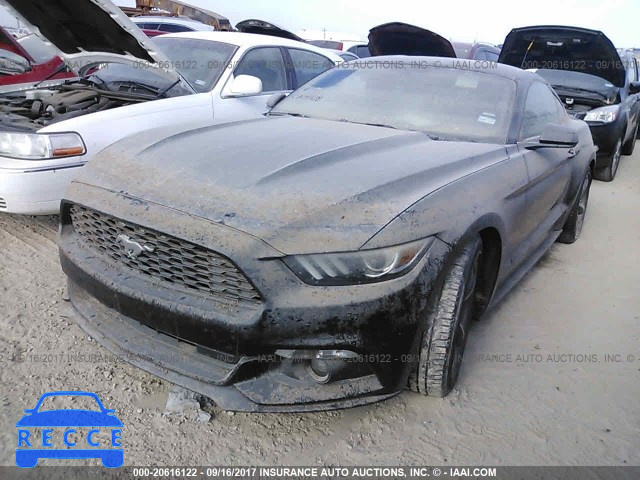 2015 Ford Mustang 1FA6P8AM5F5430596 image 1