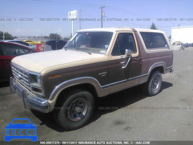1986 Ford Bronco U100 1FMEU15H3GLA94863 зображення 1