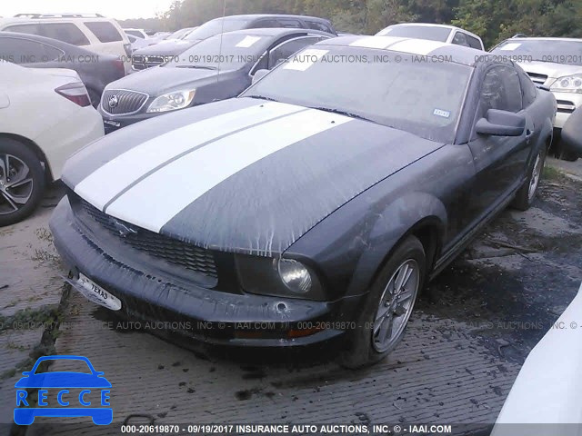 2007 Ford Mustang 1ZVFT80NX75338107 Bild 1