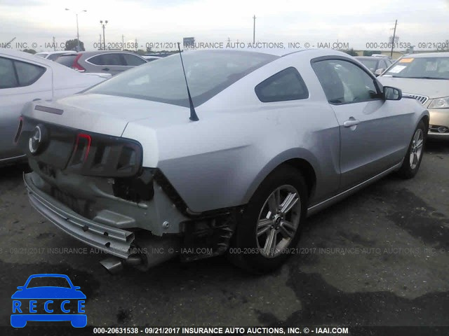 2013 Ford Mustang 1ZVBP8AM1D5259042 image 3