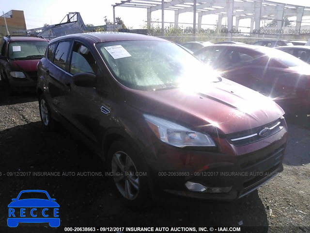 2014 Ford Escape 1FMCU0GXXEUD30244 image 0