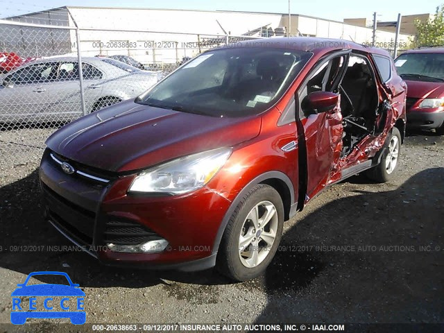 2014 Ford Escape 1FMCU0GXXEUD30244 image 1