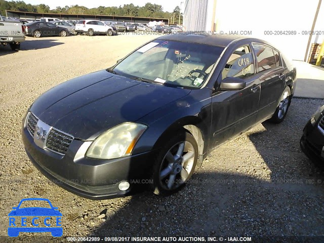 2005 NISSAN MAXIMA 1N4BA41E55C859829 image 1
