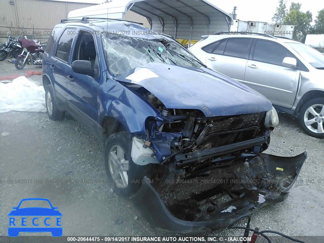 2007 Ford Escape 1FMYU02ZX7KA16560 image 5