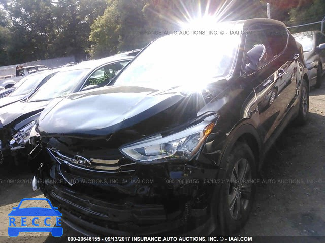 2013 Hyundai Santa Fe Sport 5XYZUDLB8DG066005 image 1