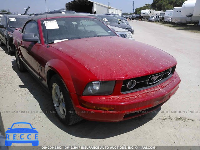 2008 Ford Mustang 1ZVHT84N685195239 image 0