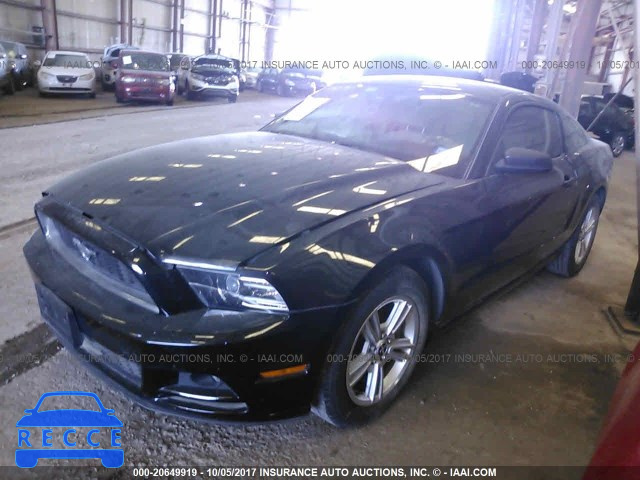 2013 Ford Mustang 1ZVBP8AM0D5281873 image 1
