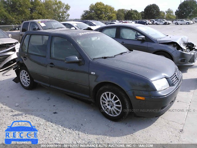 2004 Volkswagen Golf GLS 9BWGL61J644041771 image 0