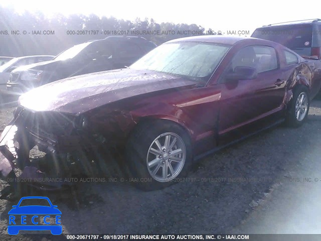 2007 Ford Mustang 1ZVFT80NX75344652 image 1