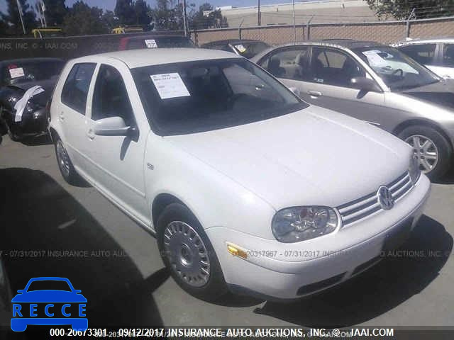 2002 Volkswagen Golf GL 9BWFK61J024058528 image 0