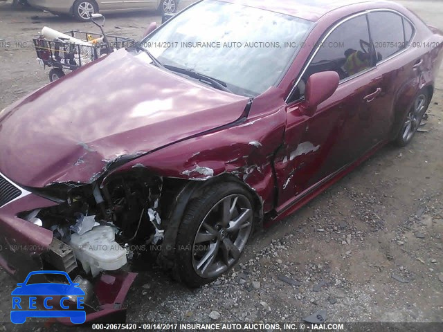 2008 Lexus IS 350 JTHBE262285017779 image 5