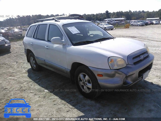 2005 Hyundai Santa Fe KM8SC13E35U867644 image 0
