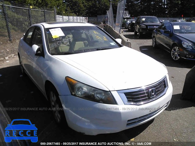 2010 HONDA ACCORD 1HGCP2F77AA116625 Bild 0