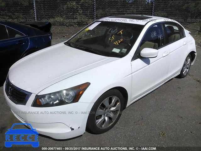 2010 HONDA ACCORD 1HGCP2F77AA116625 image 1