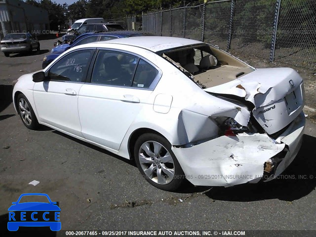 2010 HONDA ACCORD 1HGCP2F77AA116625 image 2