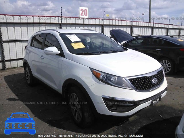 2014 KIA Sportage LX KNDPB3AC5E7657281 image 0