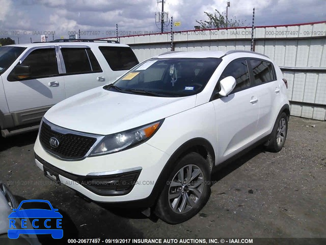 2014 KIA Sportage LX KNDPB3AC5E7657281 image 1