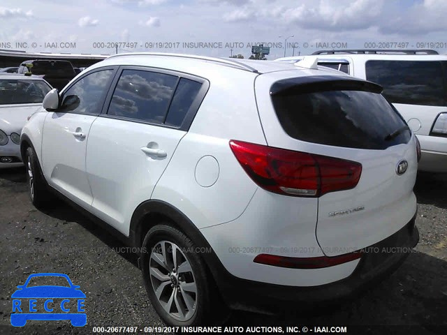 2014 KIA Sportage LX KNDPB3AC5E7657281 image 2