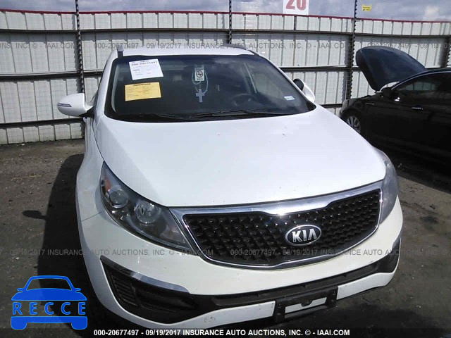 2014 KIA Sportage LX KNDPB3AC5E7657281 image 5