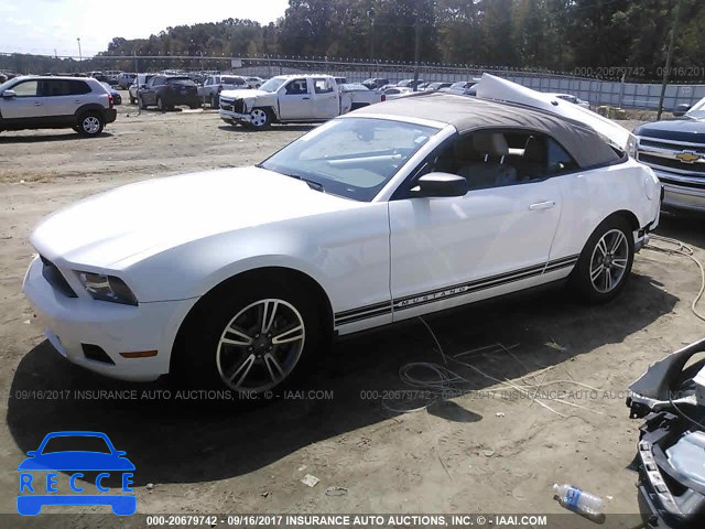 2011 Ford Mustang 1ZVBP8EM4B5126458 image 1