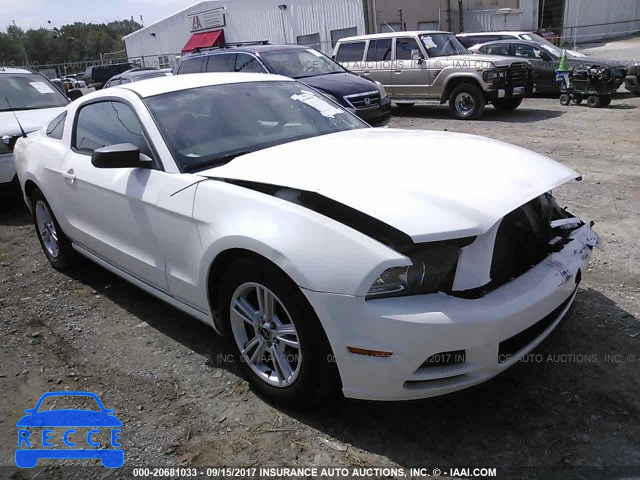 2013 Ford Mustang 1ZVBP8AM2D5281082 image 0