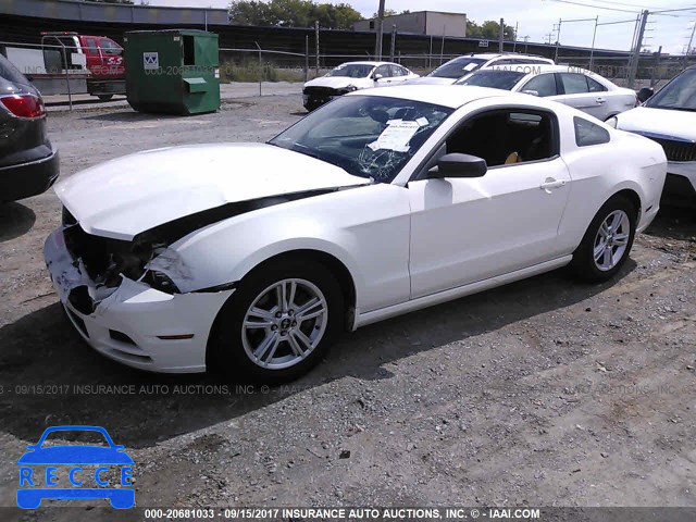 2013 Ford Mustang 1ZVBP8AM2D5281082 image 1
