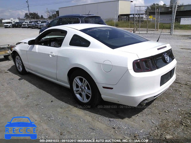 2013 Ford Mustang 1ZVBP8AM2D5281082 image 2
