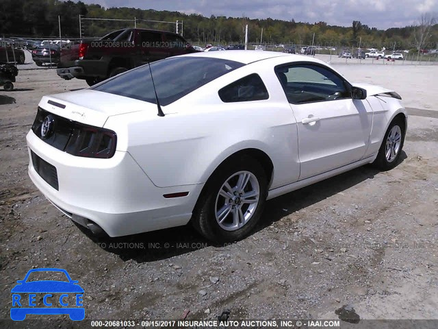 2013 Ford Mustang 1ZVBP8AM2D5281082 image 3