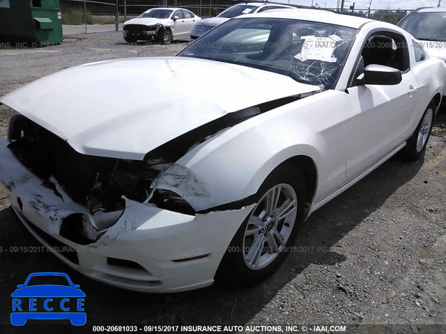 2013 Ford Mustang 1ZVBP8AM2D5281082 image 5