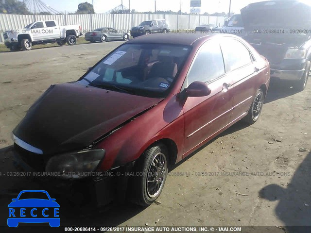 2009 KIA SPECTRA EX/LX/SX KNAFE221395646238 image 1