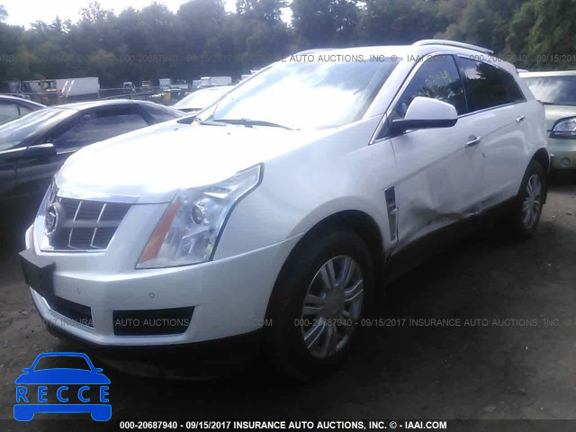 2010 Cadillac SRX LUXURY COLLECTION 3GYFNDEYXAS551722 зображення 1