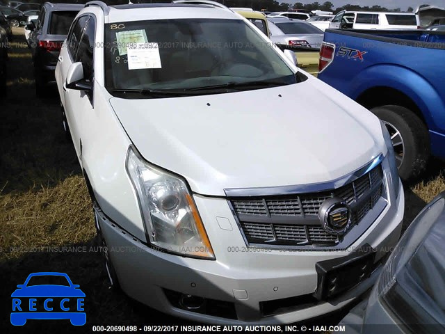 2010 Cadillac SRX PREMIUM COLLECTION 3GYFNCEY1AS642288 image 5