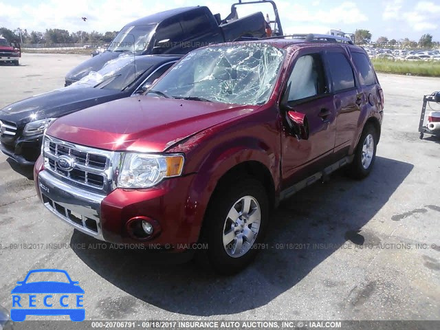 2012 Ford Escape 1FMCU9EG6CKB68564 зображення 1